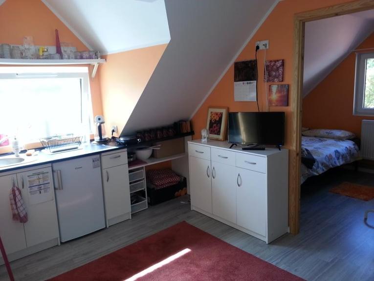 Apartmán Cztery Pory Warmii Pluski Pokoje Do Wynajecia Exteriér fotografie